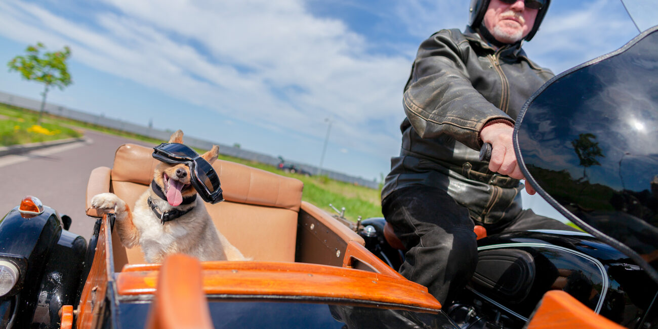 Productivity Power-Ups: Sidecar